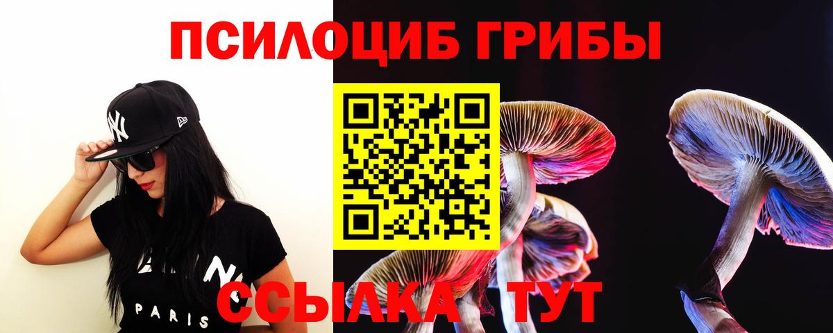 Псилоцибиновые грибы ЛСД  Вход с VPN  Сухой Лог  Галлюциногенные грибы ЛСД 