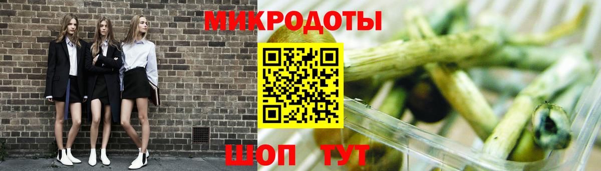 Галлюциногенные грибы Psilocybe Сухой Лог